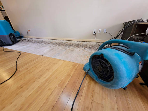 Reliable Basement Flood Cleanup contractor in Pine Hall, NC by Hirex Water Damage
