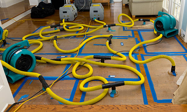 Professional Basement Flood Cleanup technician working in Pine Hall, NC